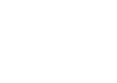 Fine Art Solutions logo